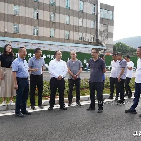 荒野冒险！6位UP主雨林求生记🌿