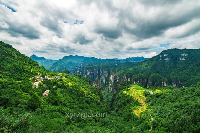 央视摄像机器狗探秘哀牢山：科技与自然奇妙融合